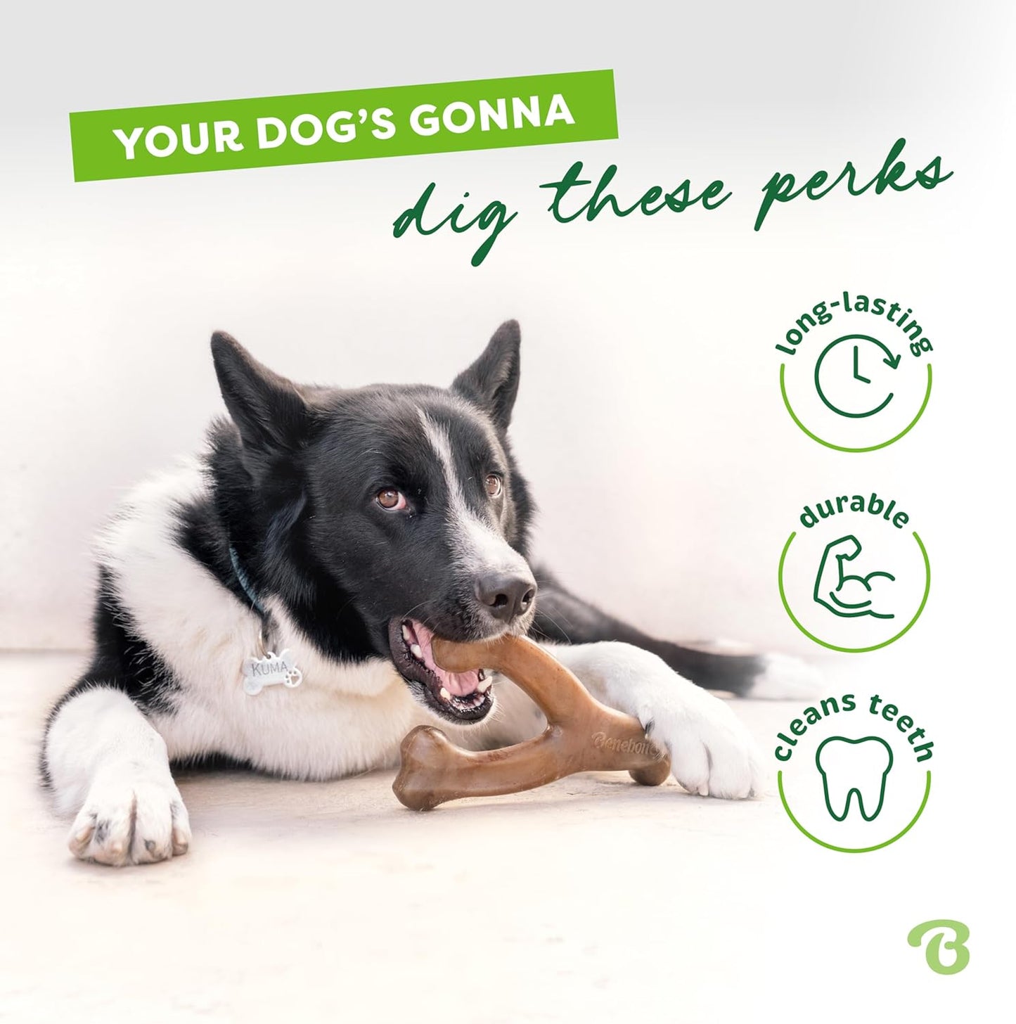Dog Chew Toy for Aggressive Chewers
