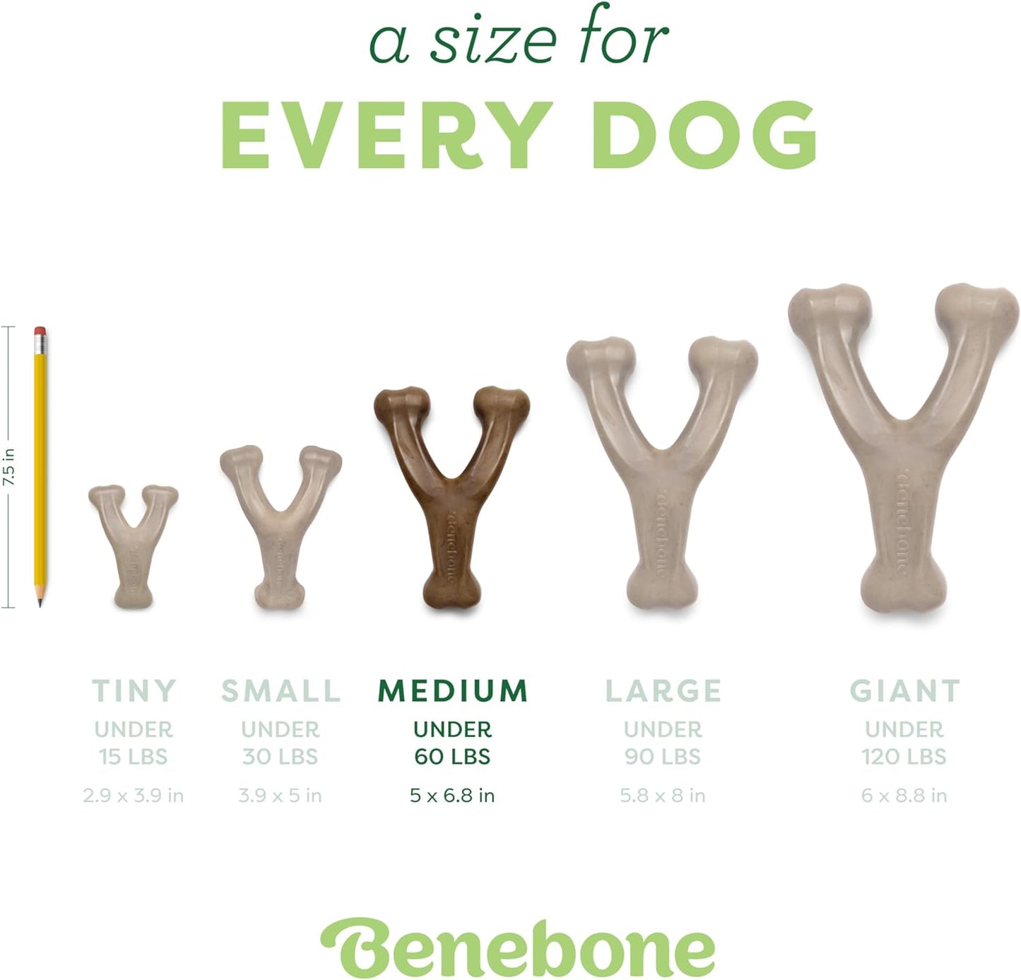 Dog Chew Toy for Aggressive Chewers