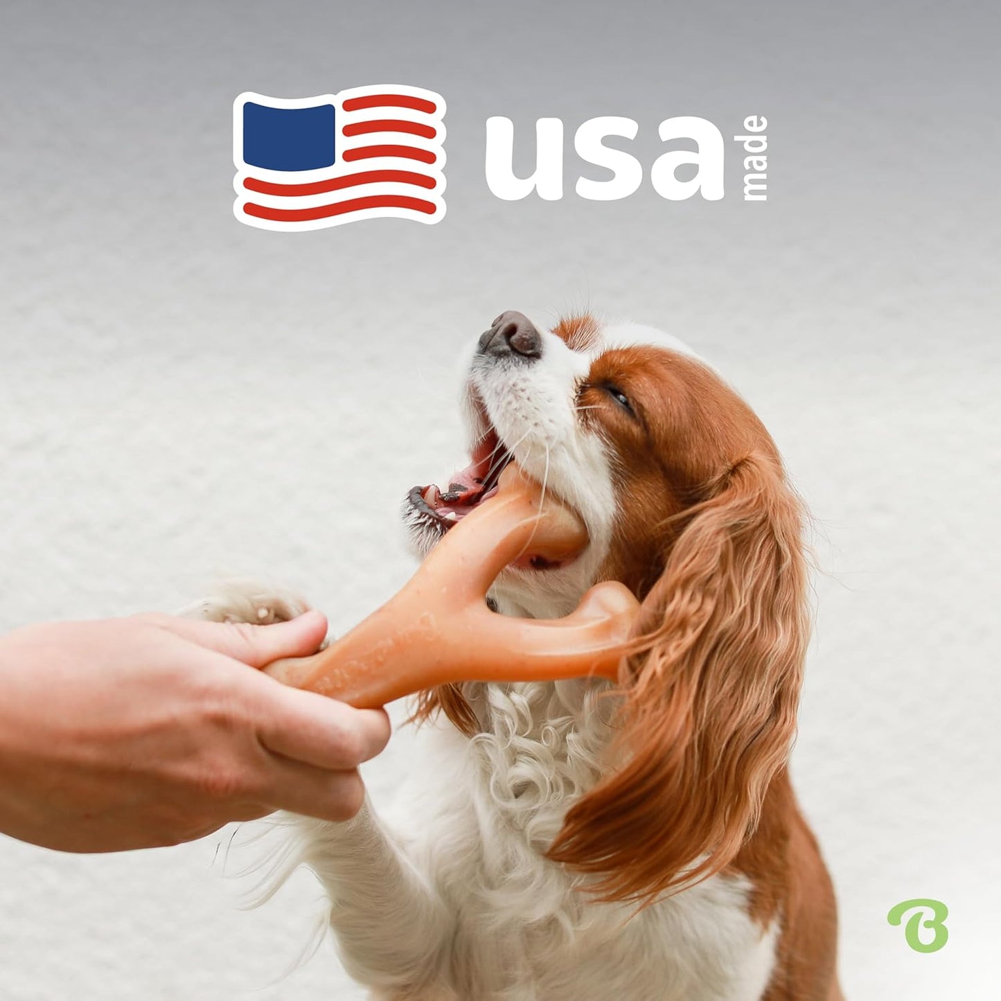 Dog Chew Toy for Aggressive Chewers