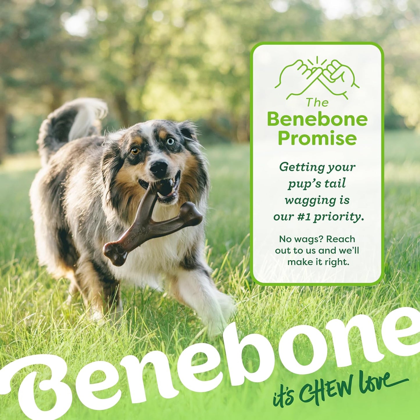 Dog Chew Toy for Aggressive Chewers