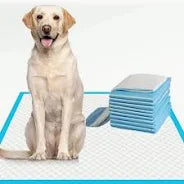 Dog and Puppy Pee Pads