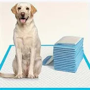 Dog and Puppy Pee Pads