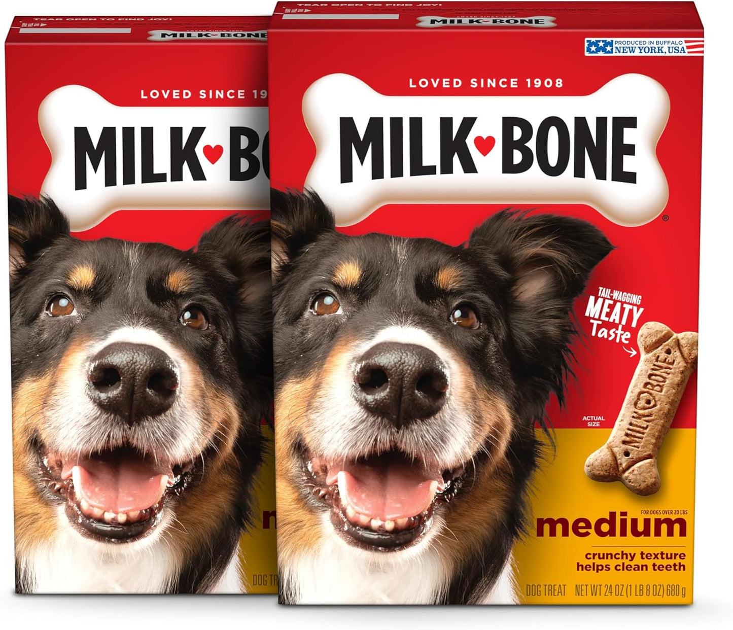 Milk-Bone Original Dog Treats Biscuits for Medium Dogs, 10 Pound