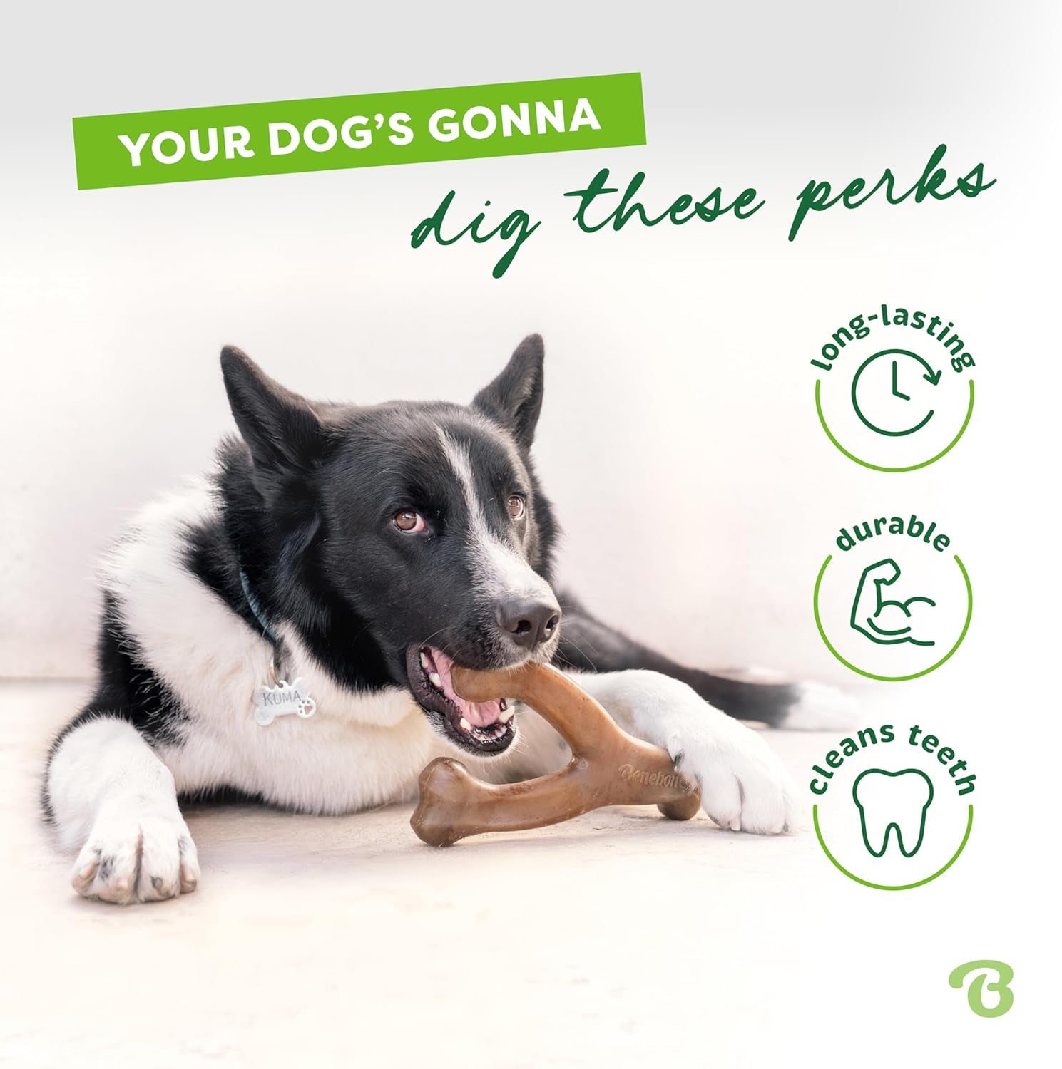 Dog Chew Toy for Aggressive Chewers