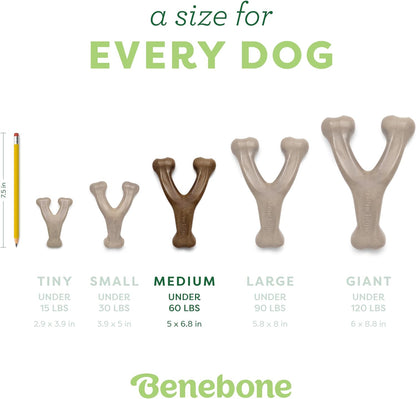 Dog Chew Toy for Aggressive Chewers