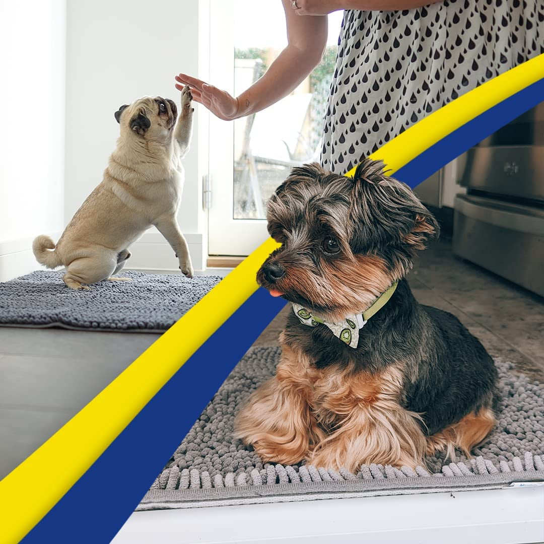 Mat Absorbent Microfiber Dog Door Mat