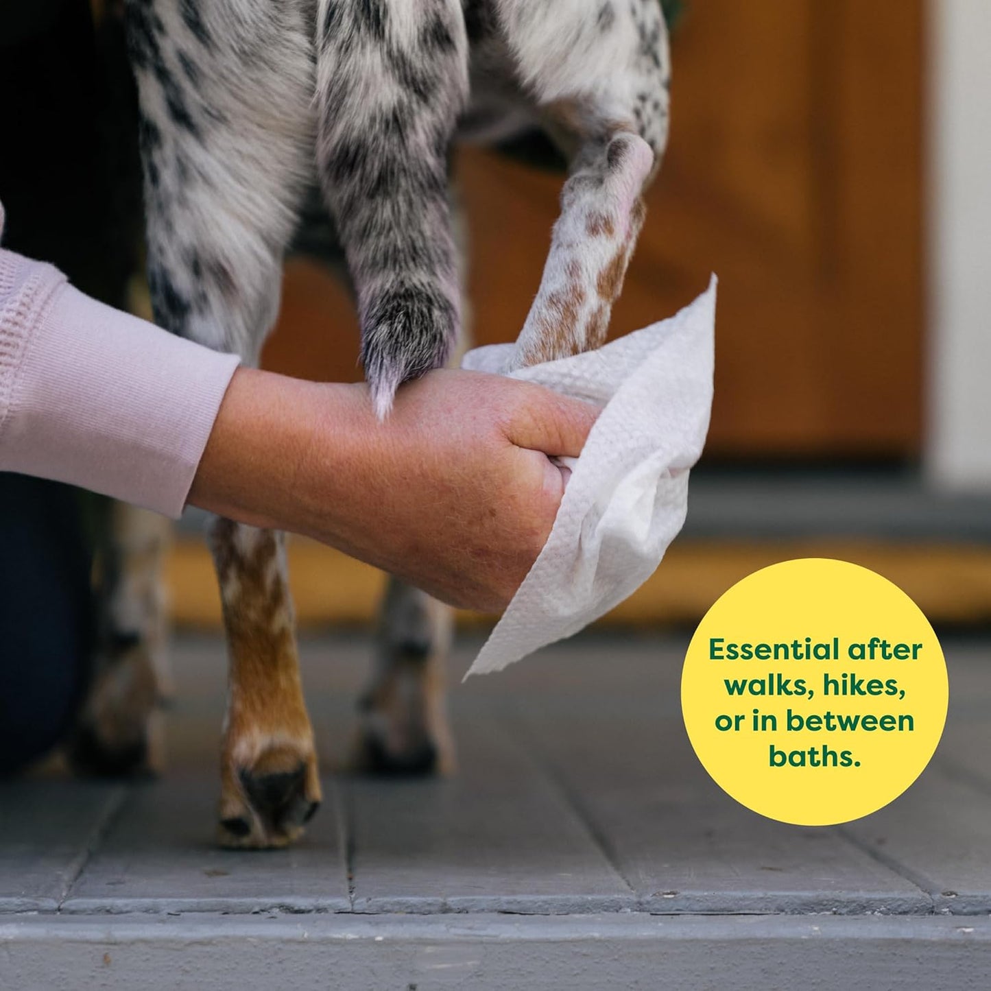 Pet Grooming Wipes for Dogs and Cats