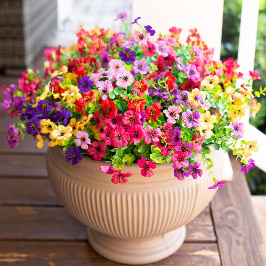 Plants Flowers Outdoor outside Decoration