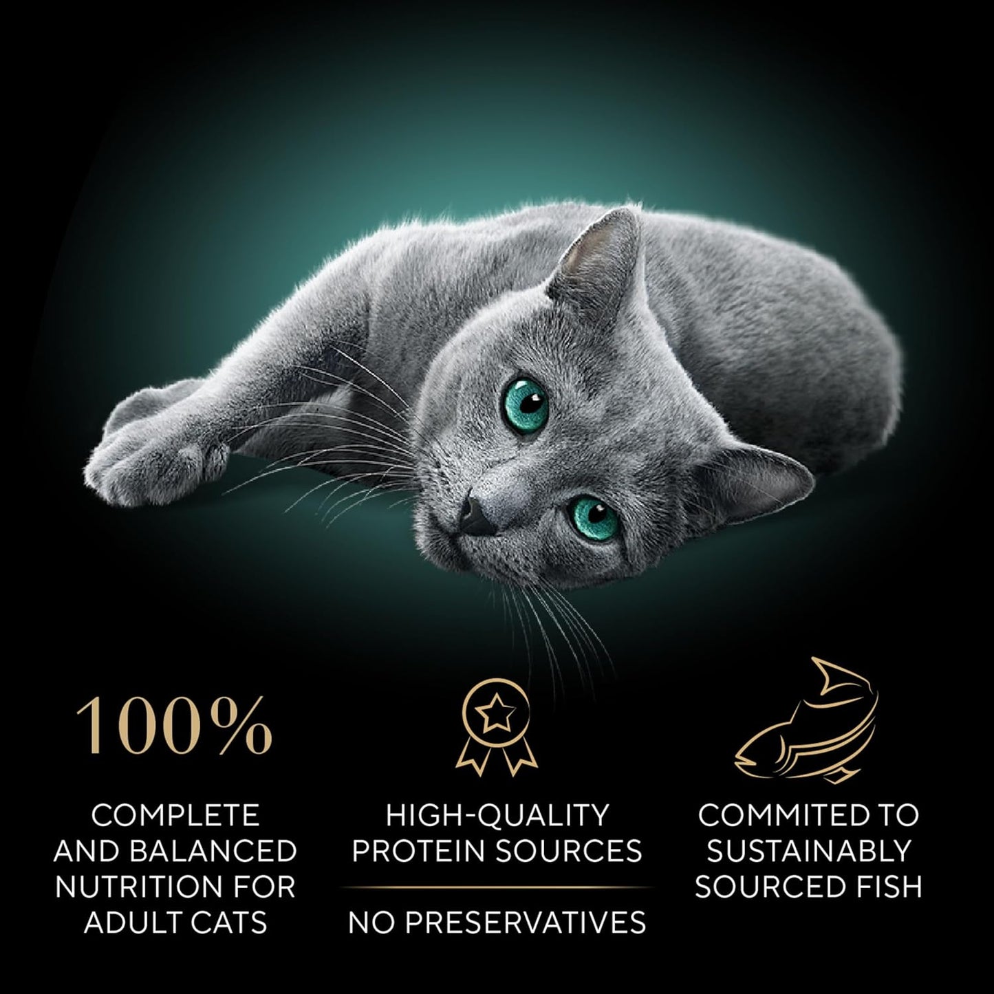 cat food cuts