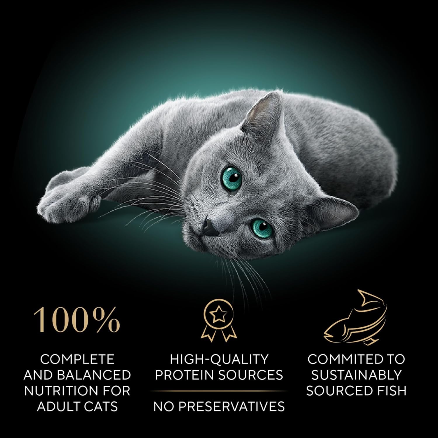 cat food cuts